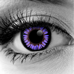 Violet ColorMax Colored Contacts