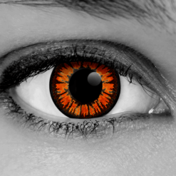 Gloden Twilight Lenses