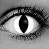 White Cat Contact Lenses
