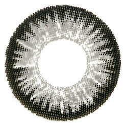 Venus Color Pro Lenses - Gray Colored Contacts