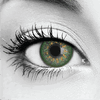 Bella Green Envy Colored Contacts