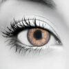 Violet Rose Colored Contacts - Bella Contact Lenses - Image 1