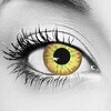 Avatar Contact Lenses