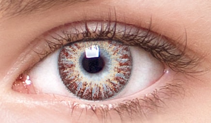 chic brown colored contacts chic brown colored contacts