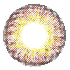 chic brown colored contacts