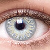 chic gray colored contact