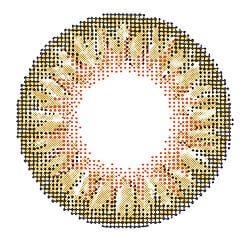 Chic Honey Colored Contacts