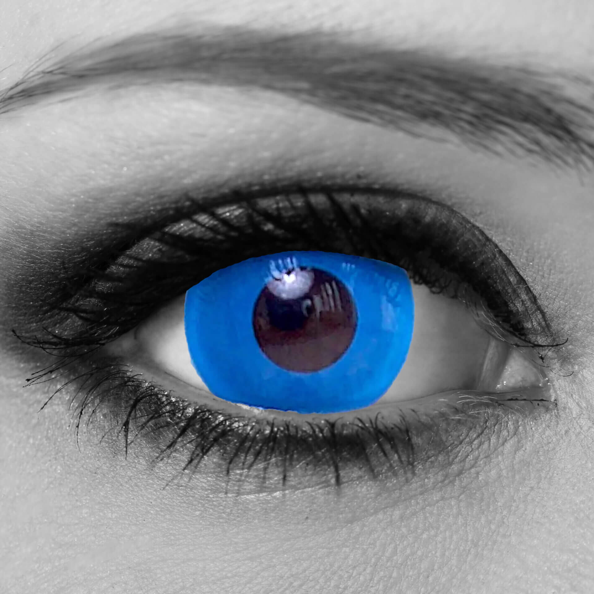 Cool Blue Barbie Halloween Contacts By Softlens