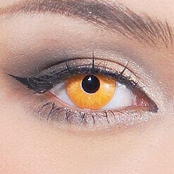 Golden Wolf Lenses