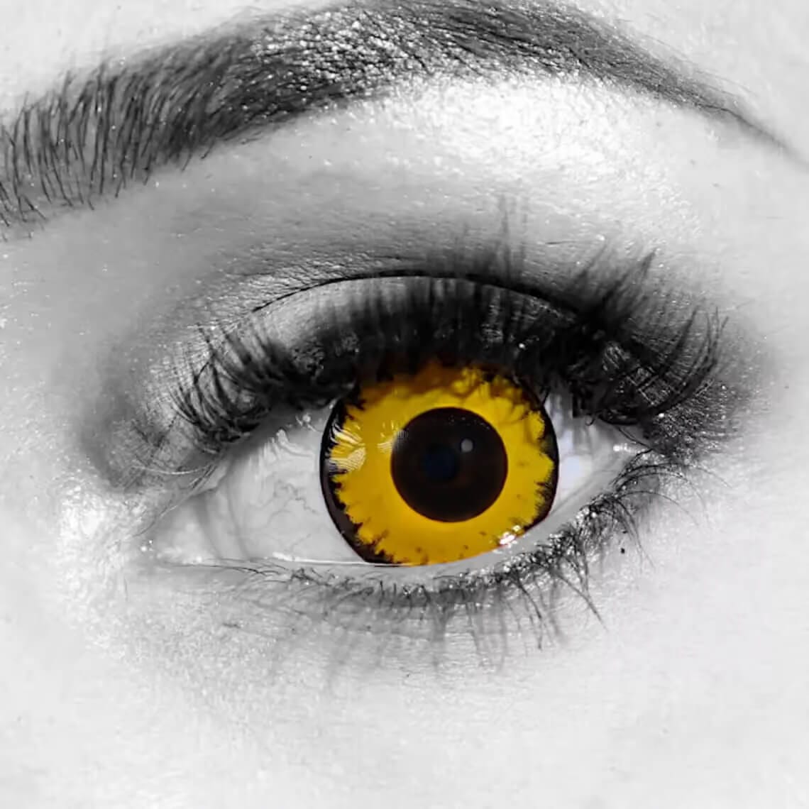 コスメ×8 Eau de Wisconsin Travel Perfume 8ml .27oz – Zodica Perfumery