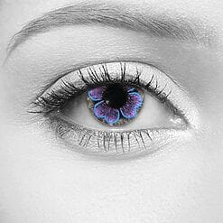 Bloom Violet Contact Lenses