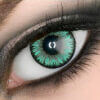 Venus Color Pro Lenses - Leaf Green Colored Contacts - Image 1