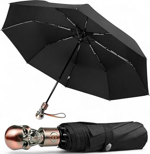 61iDvMvzZOL._AC_SX679_